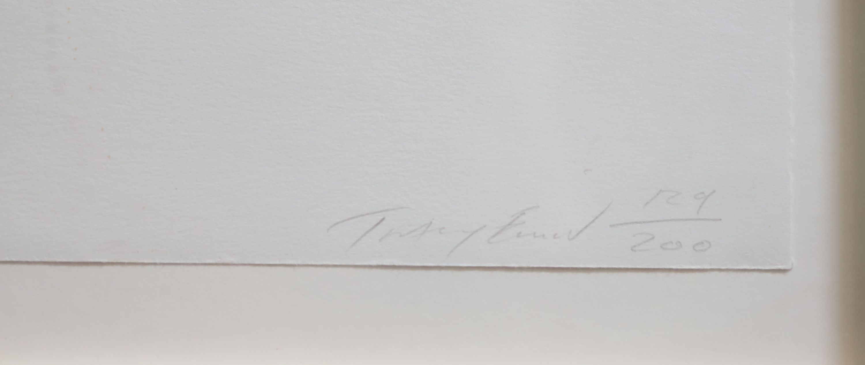 Tracy Emin (1963-), Self portrait as a small bird, etching on wove, 27.5 x 33cm.